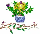for friends