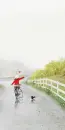 RAINY DAY