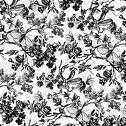 old fashion Background