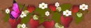 berries