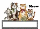 meow love it kittys