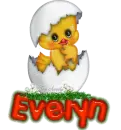 Evelyn