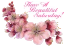 Cherry Blossoms - Saturday