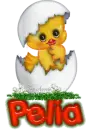 Pelia
