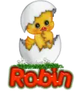 Robin
