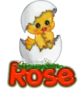 Rose
