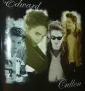 robert pattinson