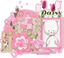 Daisy