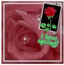 i love spring
