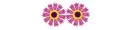 Rolling Flower-Asnidah