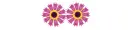 Rolling Flower-Genalyn