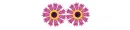 Rolling Flower-Yam
