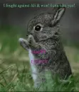 Boxing Bunny