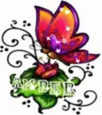Butterfly Avatar Amber