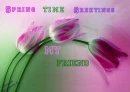 SPRINGTIME GREETINGS