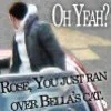 Oh no,not Bella's cat!