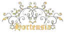 name
