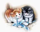2-kitties