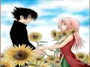Sasusaku - Sunflowers