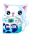 kitty