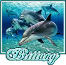 Brittany
