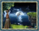 Dolphin Paradise