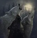 howl at the moon