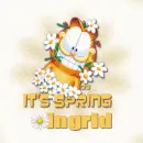 spring