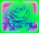 colorful love