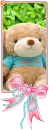WISH BEAR