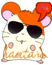 hamtaro