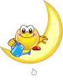 moon