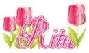 tulips rita