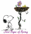 Spring