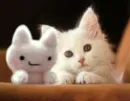 cat with doll