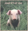 Pig just lil ol' me
