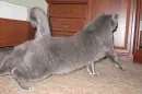 stretching...