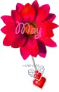 May