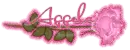 Aggela-rose