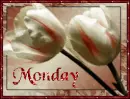Tulips for Monday