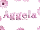 pink daisies aggela