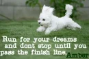 run for your dreams, amber