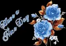 HAVE A NICE DAY