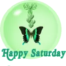 HAPPY SATURDAY