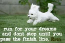 run for your dreams, erin
