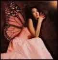 Let me Fly