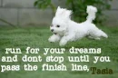 run for your dreams, Tasia 