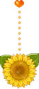 the hang flower