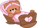 the bear sleep