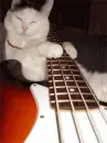 music